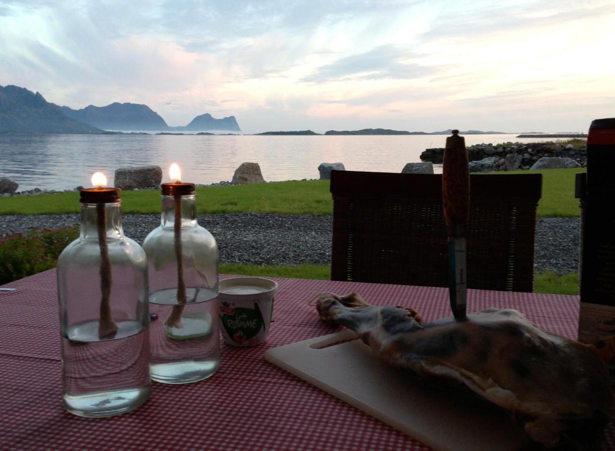 Tinebua Basecamp Senja Vandrarhem Berg  Exteriör bild
